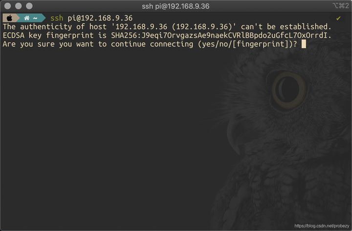 实现在外网SSH远程访问内网树莓派的详细教程_树莓派_08
