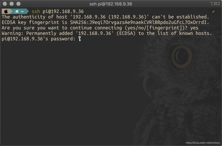 实现在外网SSH远程访问内网树莓派的详细教程_IP_09