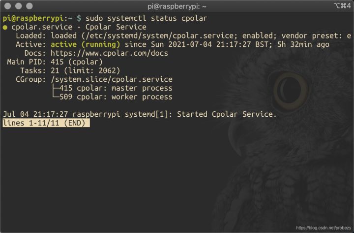 实现在外网SSH远程访问内网树莓派的详细教程_IP_12