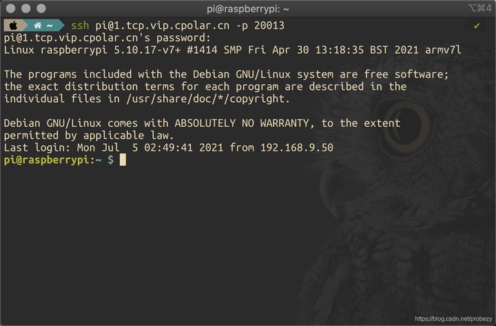 实现在外网SSH远程访问内网树莓派的详细教程_运维_14