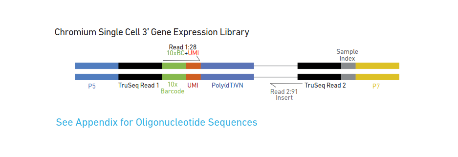 10x Genomics RNA-seq 原理_ci_04