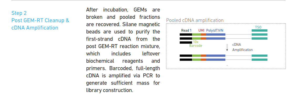 10x Genomics RNA-seq 原理_ci_06