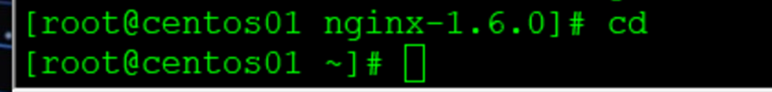                                             配置Nginx虚拟主机_Nginx_11