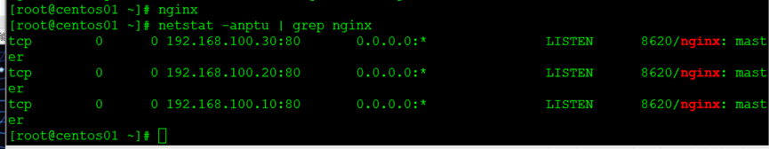                                             配置Nginx虚拟主机_虚拟主机_25