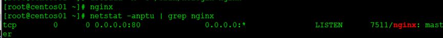                                             配置Nginx虚拟主机_虚拟主机_15