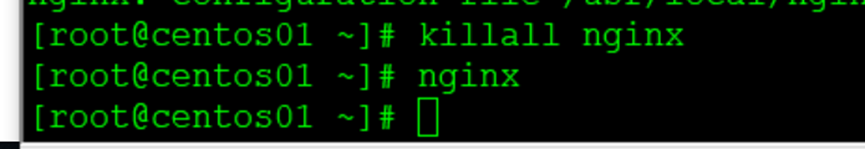                                             配置Nginx虚拟主机_客户端_32