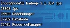 Hadoop（一）入门_hadoop_12