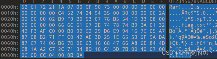 解决 010Edittor 复制问题_另存为_02