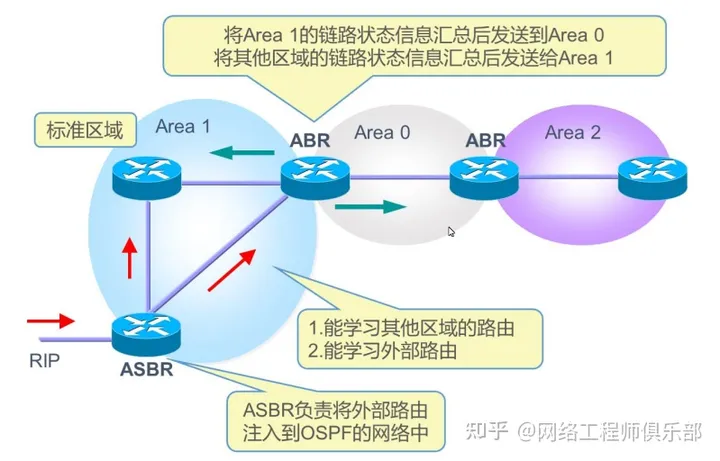 全网最详细的OSPF原理总结，看这篇就够了！_IP_04