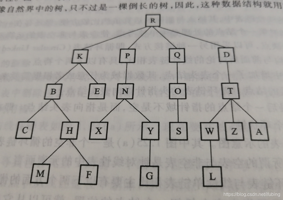 数据结构与算法-二叉树的名词概念与相关数据的计算_父节点
