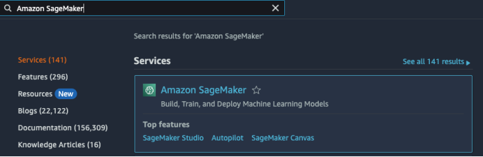 大语言模型（LLMs）在 Amazon SageMaker 上的动手实践_编译器