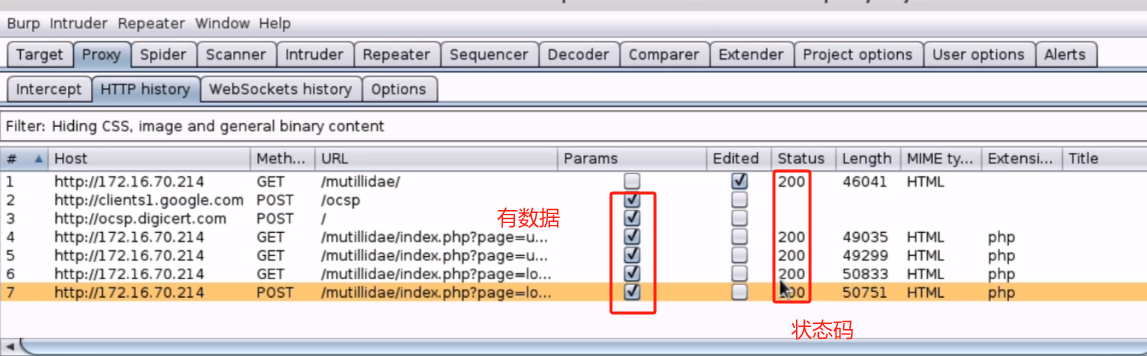 Burpsuite Proxy代理功能_火狐浏览器_31