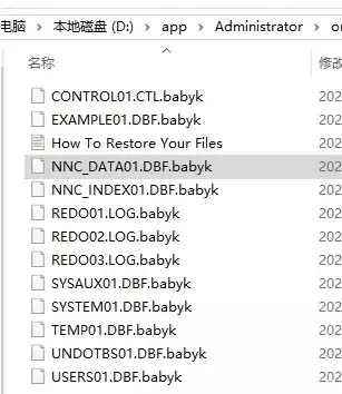企业服务器中了babyk勒索病毒怎么办，babyk勒索病毒解密数据集恢复_服务器