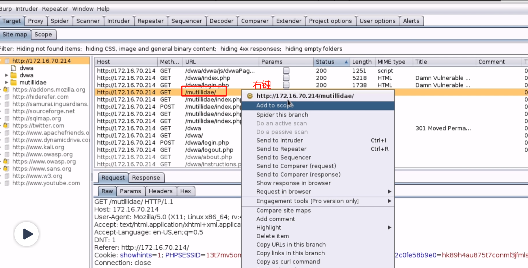 Burpsuite Target目标功能_测试人员_05