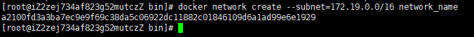Docker容器指定静态IP地址_IP