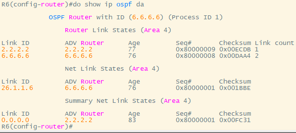思科——OSPF综合实验_数据库_12