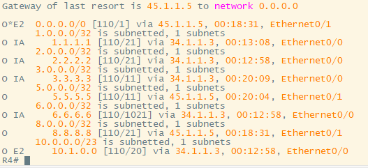 思科——OSPF综合实验_路由表_38