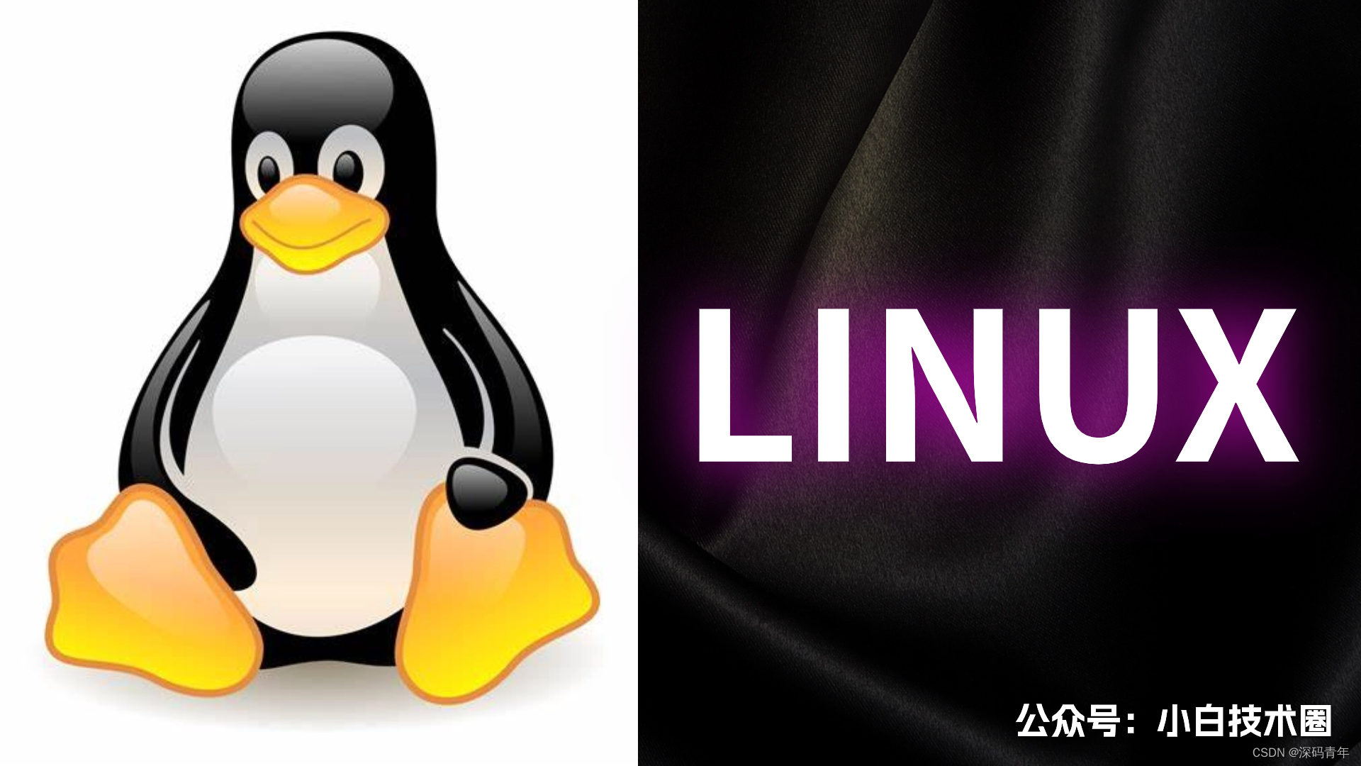 Linux 查看端口占用情况（超详细）_端口号
