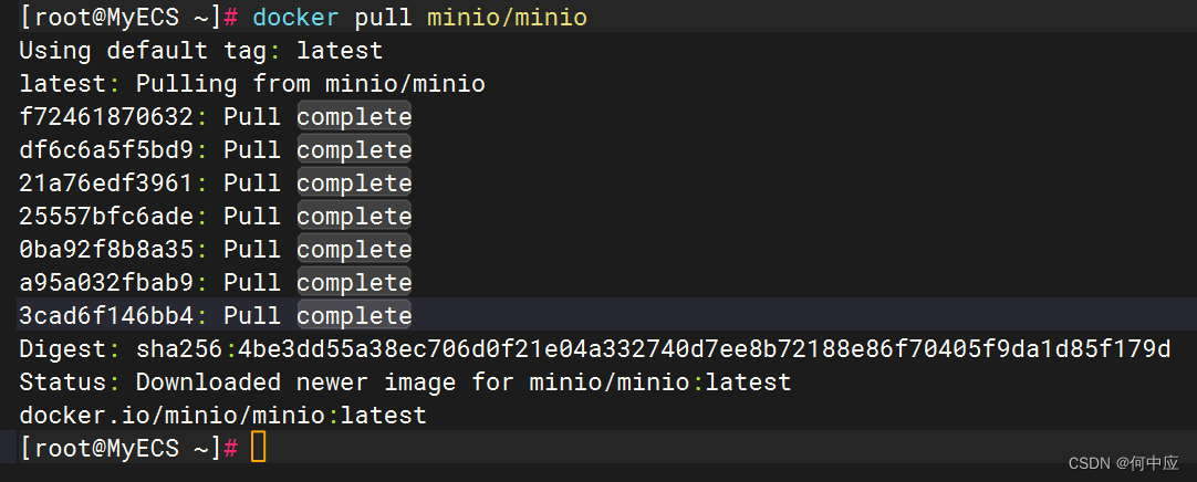 使用Docker部署MinIO服务器