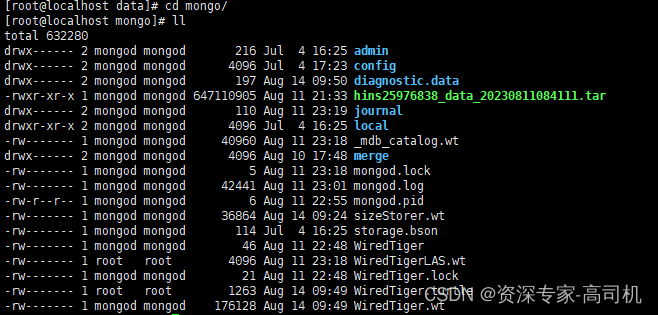 如何将阿里云WiredTiger引擎的MongoDB物理备份文件恢复至自建数据库_Shell_03