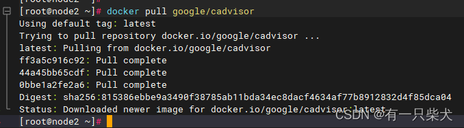 16. Docker容器监控CAdvisor+InfluxDB+Granfana_Docker_04