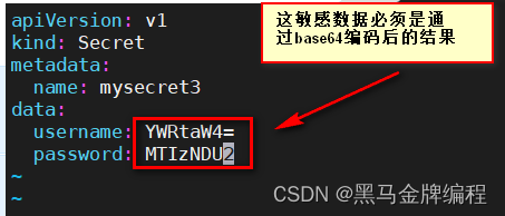 在k8s中使用secret存储敏感数据与四种用法_docker_02