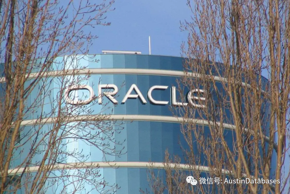 数据库信息速递： Oracle 23C 引入了向量搜索功能，为生成式人工智能应用提供支持 （译）..._应用程序