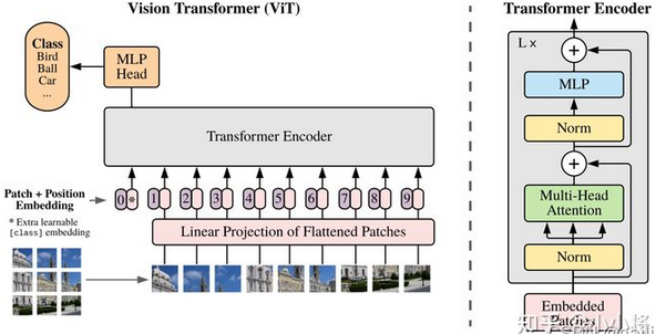 经典论文阅读笔记——VIT、Swin Transformer、MAE、CILP_像素点