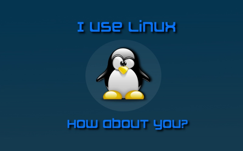 Linux查端口占用的几种方式_网络