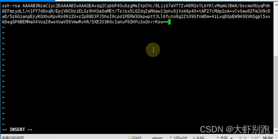 Linux服务器配置ssh证书登录_创建文件_09