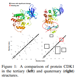 论文解读：《基于提示学习的多层次蛋白质结构预训练》_建模