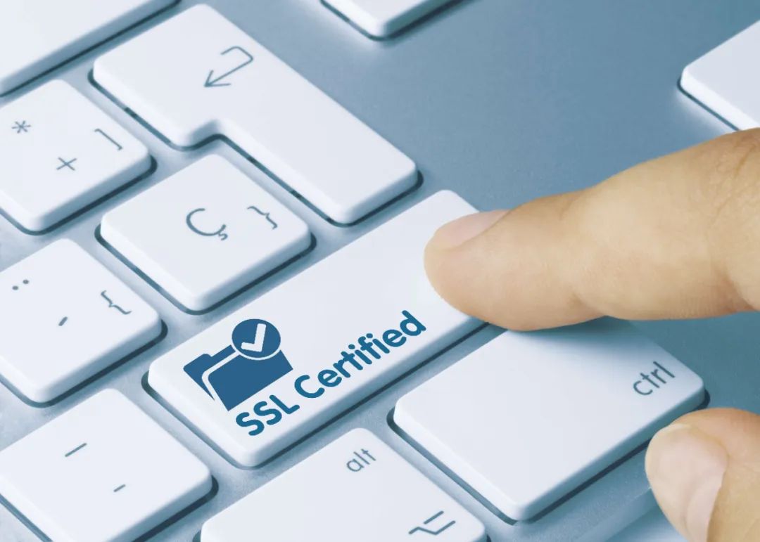 @企业网站：为什么不建议使用免费的SSL证书_SSL
