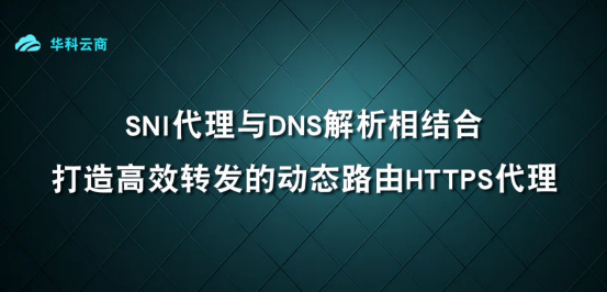 SNI代理与DNS解析相结合​_DNS