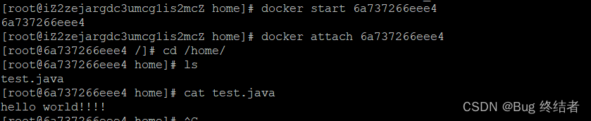 【云原生】Docker 进阶 -- 数据卷使用与实战练习_服务器_06