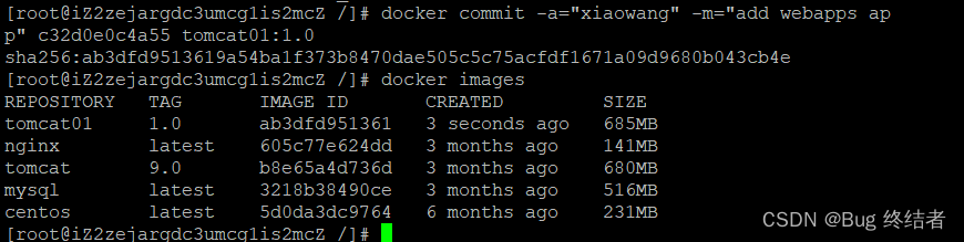 【云原生】Docker 进阶 -- 数据卷使用与实战练习_服务器_10