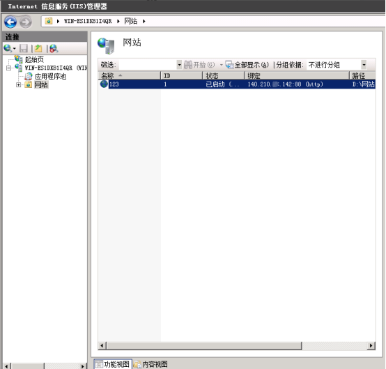Windows系统服务器如何架设网站_网站搭建_08