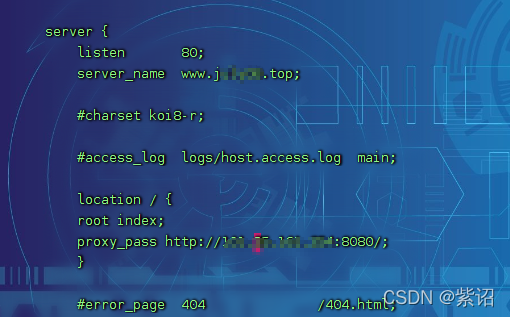 记录首次在云服务器部署spring boot项目，并实现域名访问_nginx_04