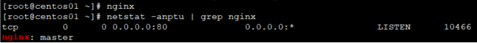 Nginx 和 tomcat 实现负载均衡_nginx_39