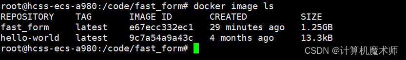 一文带你实现云上部署轻量化定制表单Docker_ubuntu_09