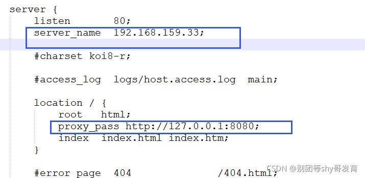 nginx反向代理实例_反向代理_04