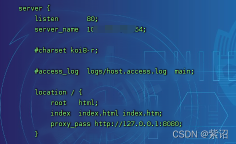 记录首次在云服务器部署spring boot项目，并实现域名访问_docker_05