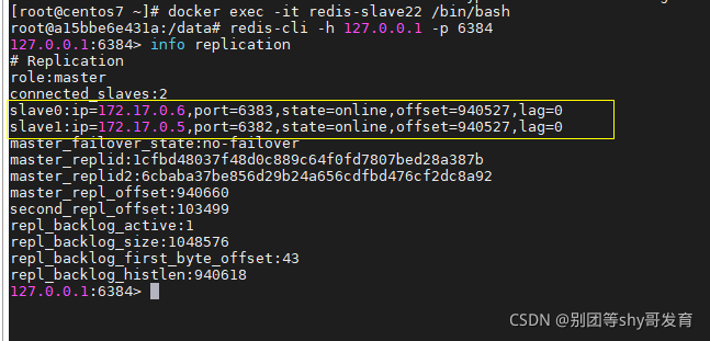 Docker搭建Redis哨兵模式集群_故障恢复_15