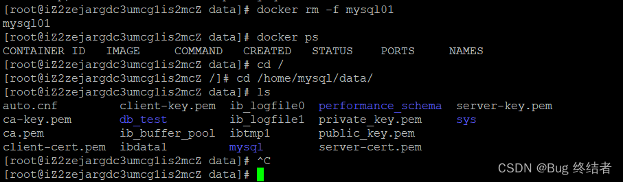 【云原生】Docker 进阶 -- 数据卷使用与实战练习_服务器_21