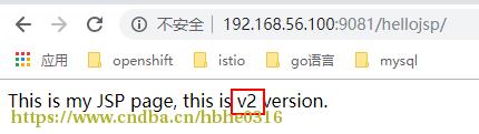 nginx实现多liberty server负载均衡_https_03