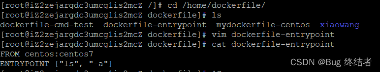 【云原生】Docker 进阶 -- 构建自定义镜像实战_服务器_12