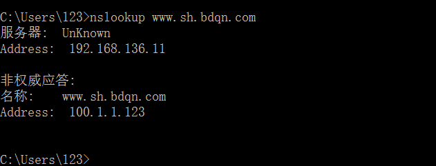 Windows服务器部署DNS服务实验二：配置委派_ip地址_31