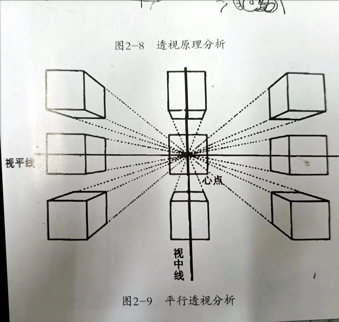 素描透视规律（及专业术语）_三点透视_02