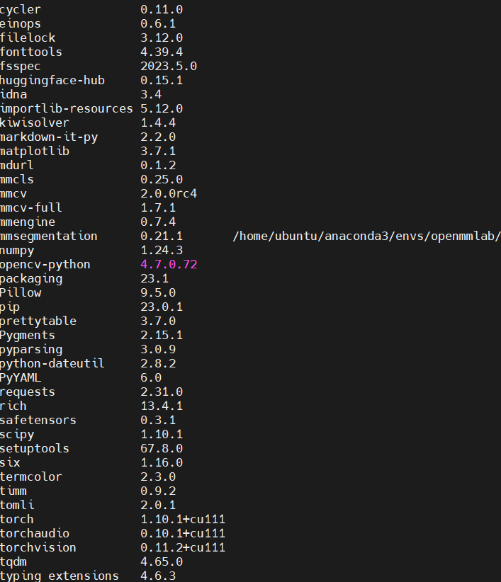 Paddle与AFFormer环境配置_python_11