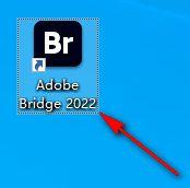 下载br-官版下载-Bridge Br2022中文版下载 官方版特色_删除文件_07